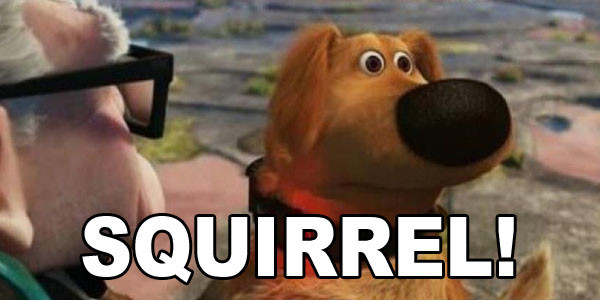 De-Squirrel Mode: Removing the Unnecessary Distractions from Your Life