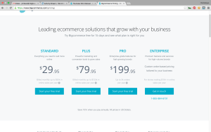 setting up a Bigcommerce store
