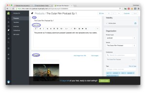 setting up a shopify store