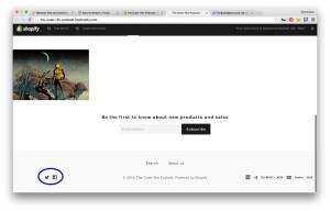 setting up a shopify store