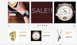 Newbie to BigCommerce