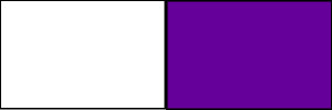 My color palette with the addition of my base color