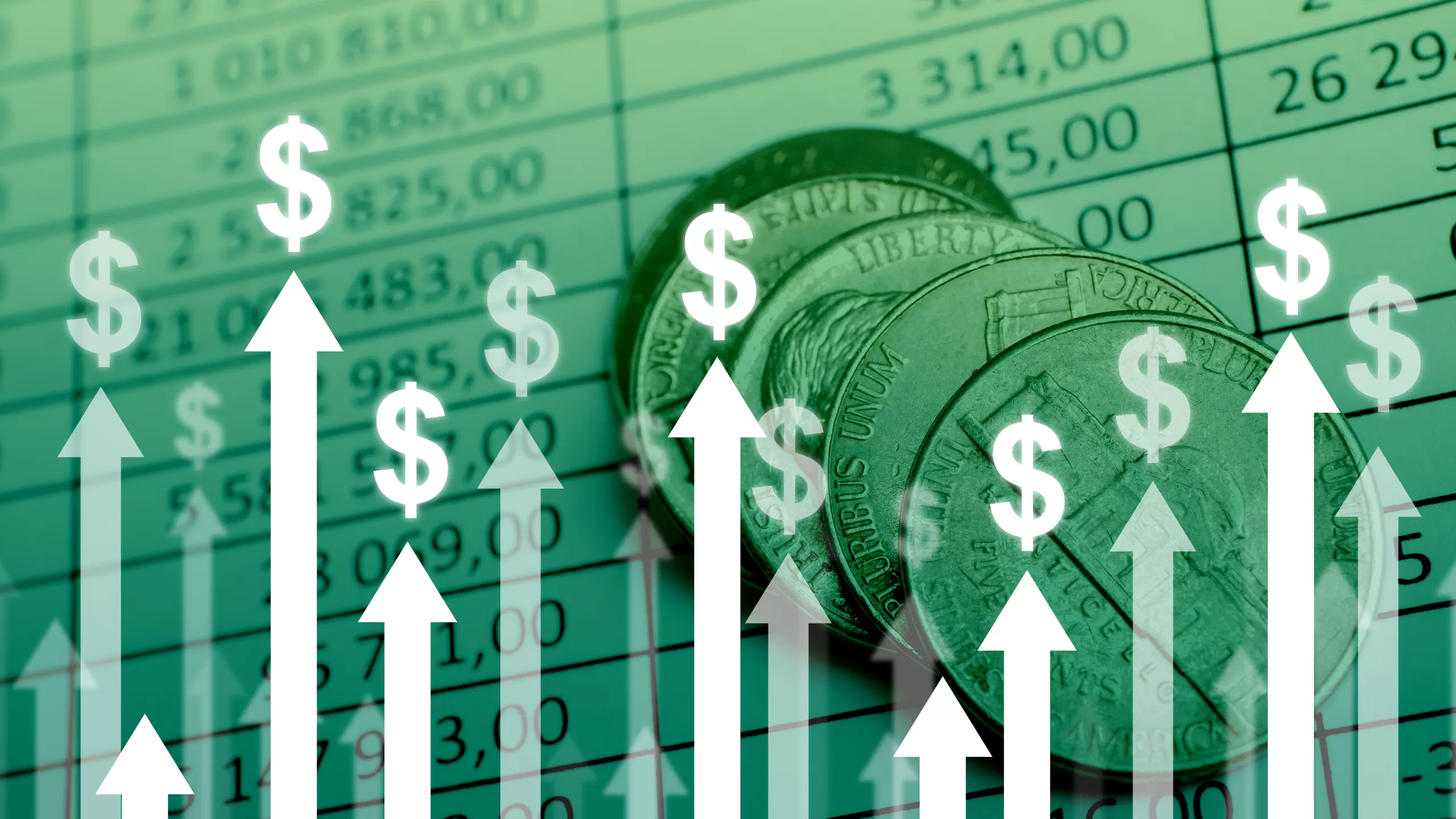 eCommerce PPC Management Agency