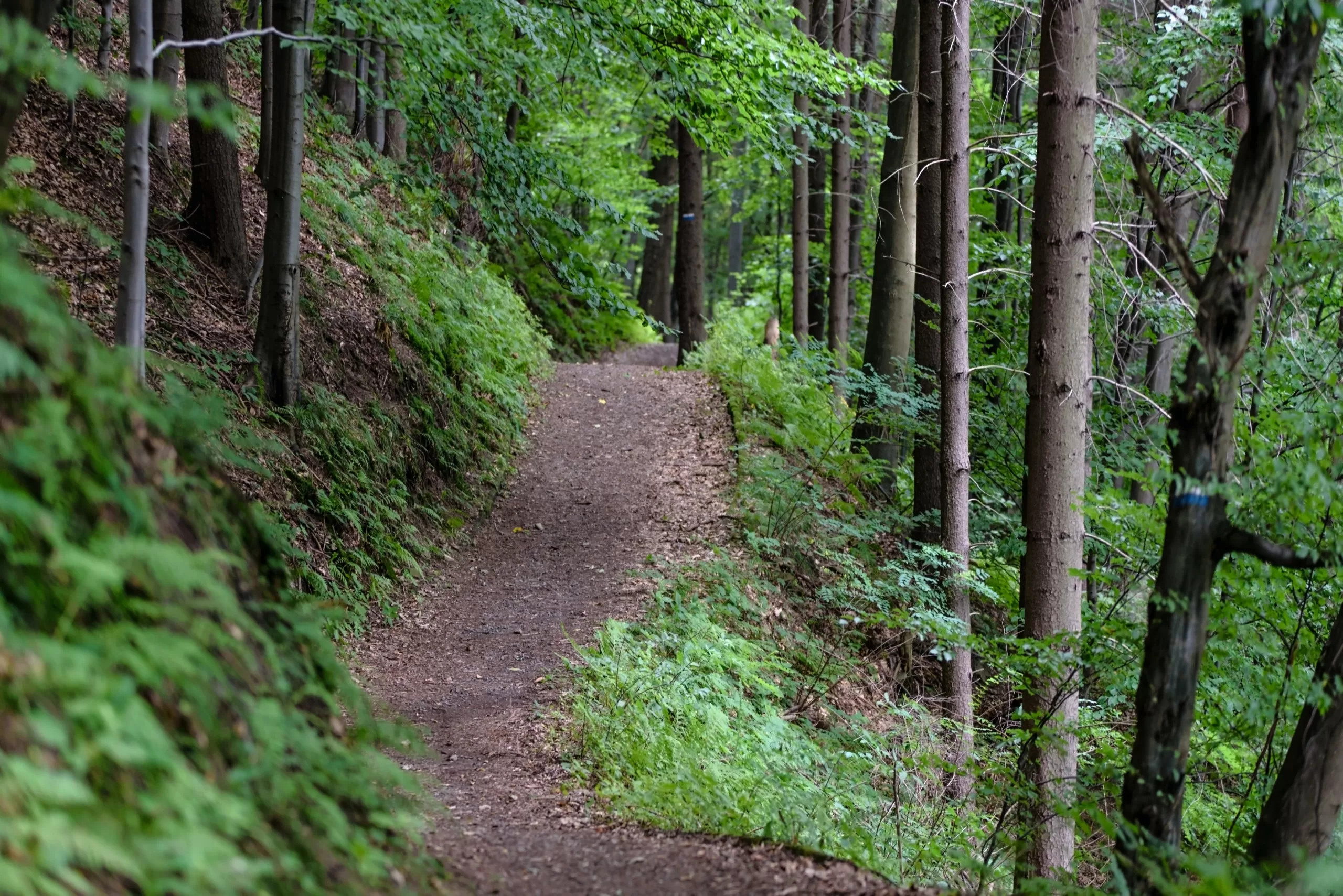 SEO for the outdoors industry.