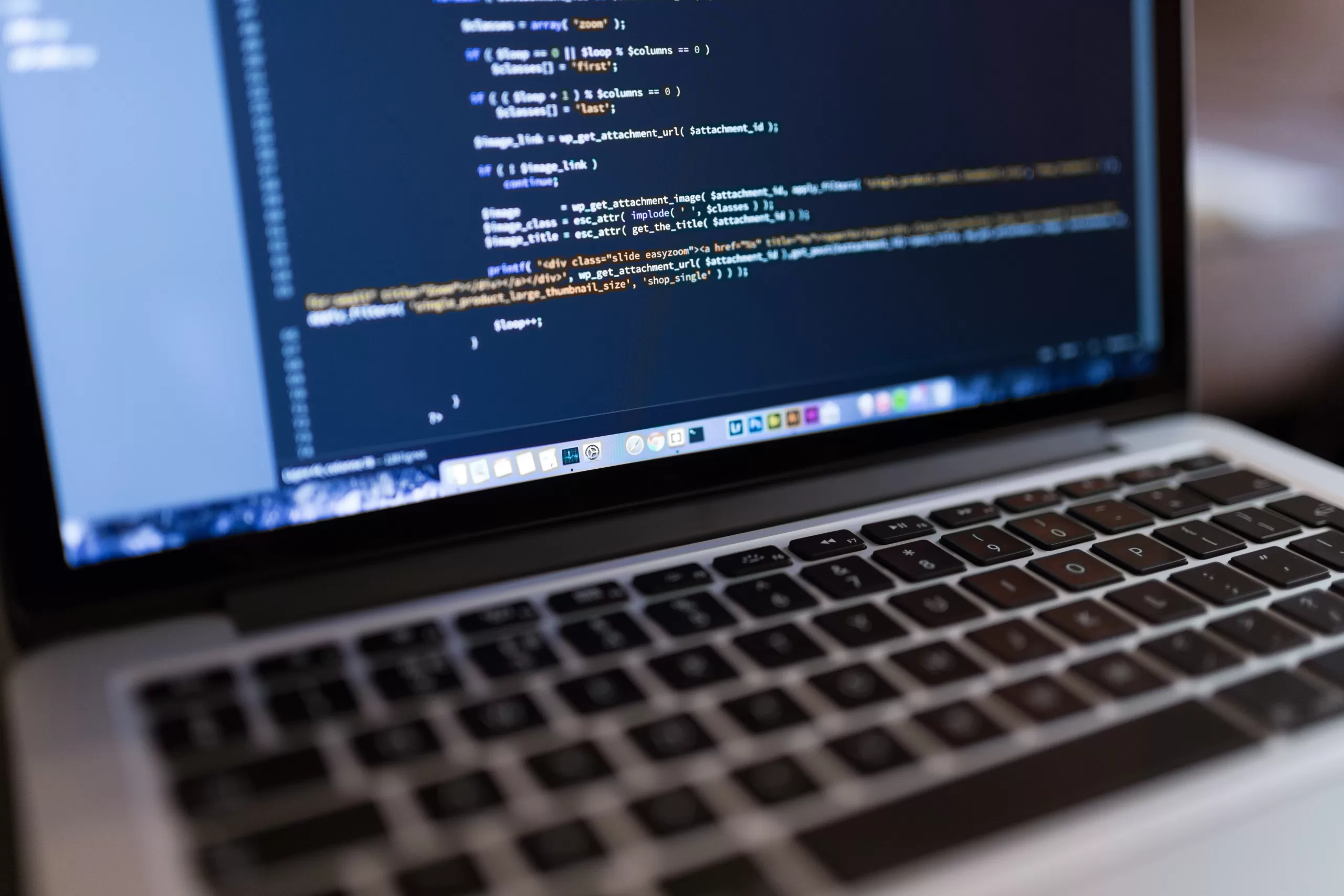 WordPress custom development services