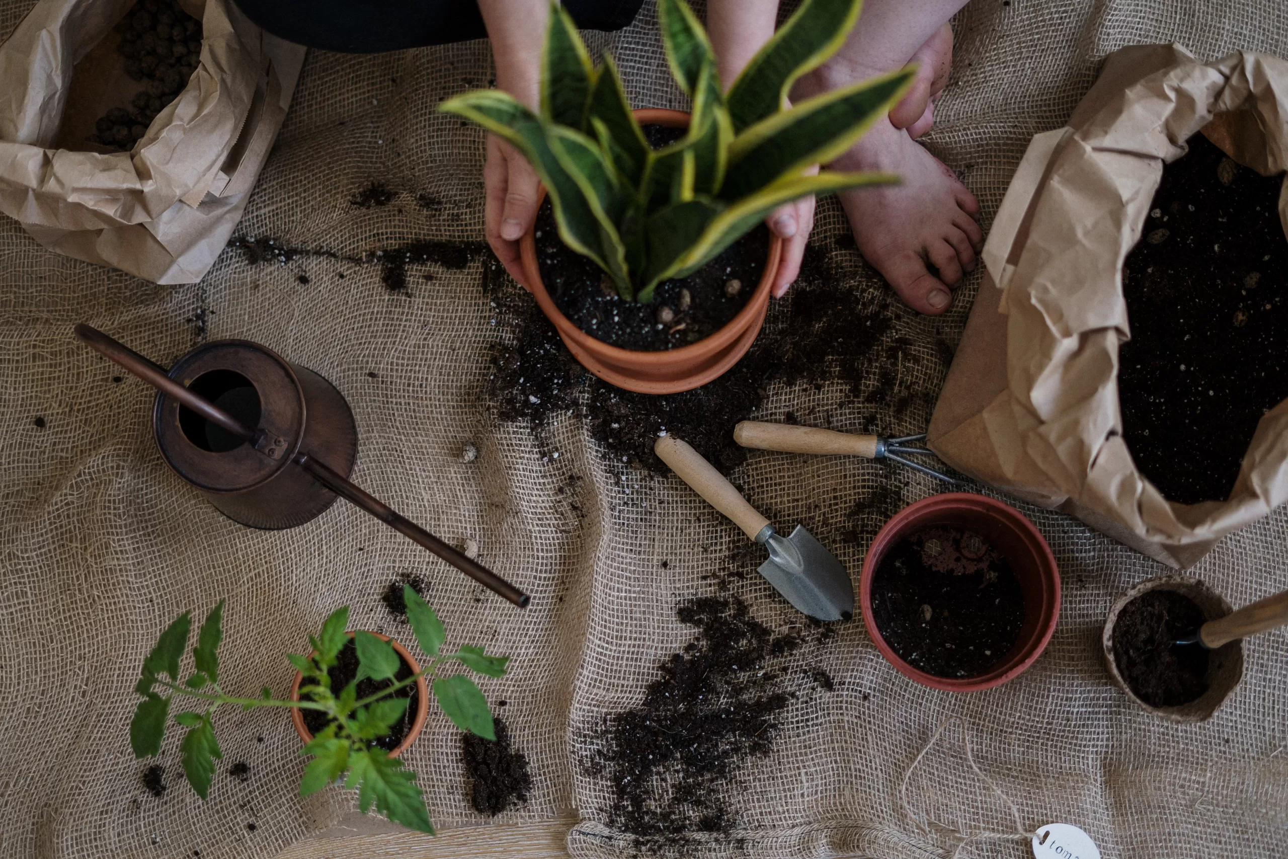 Gardening SEO