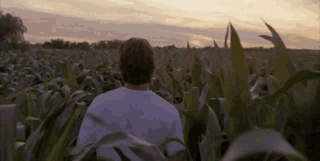 email-marketing-and-field-of-dreams-baseball