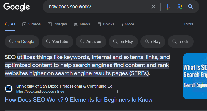 Search Intent 