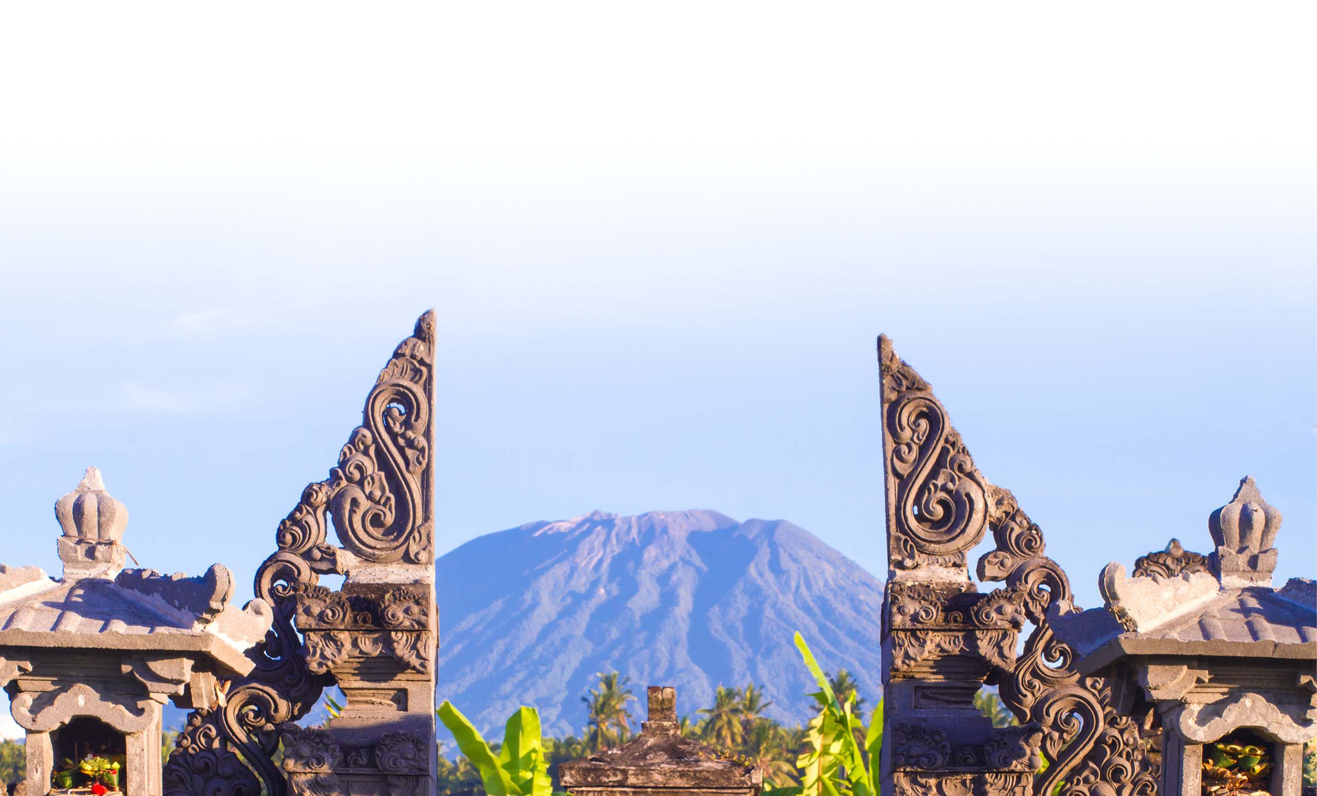 The History of Coffee in Bali and How It Has Impacted the Coffee World