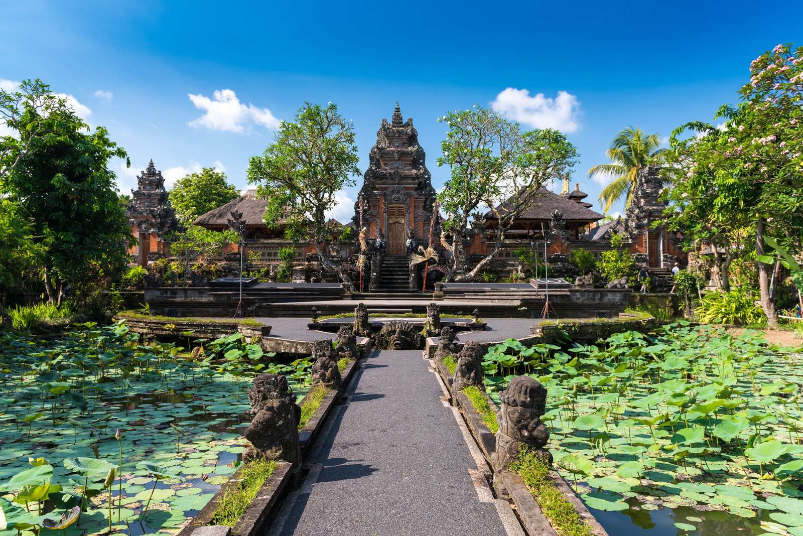 A stone path through the lotus ponds of a Balinese water temple