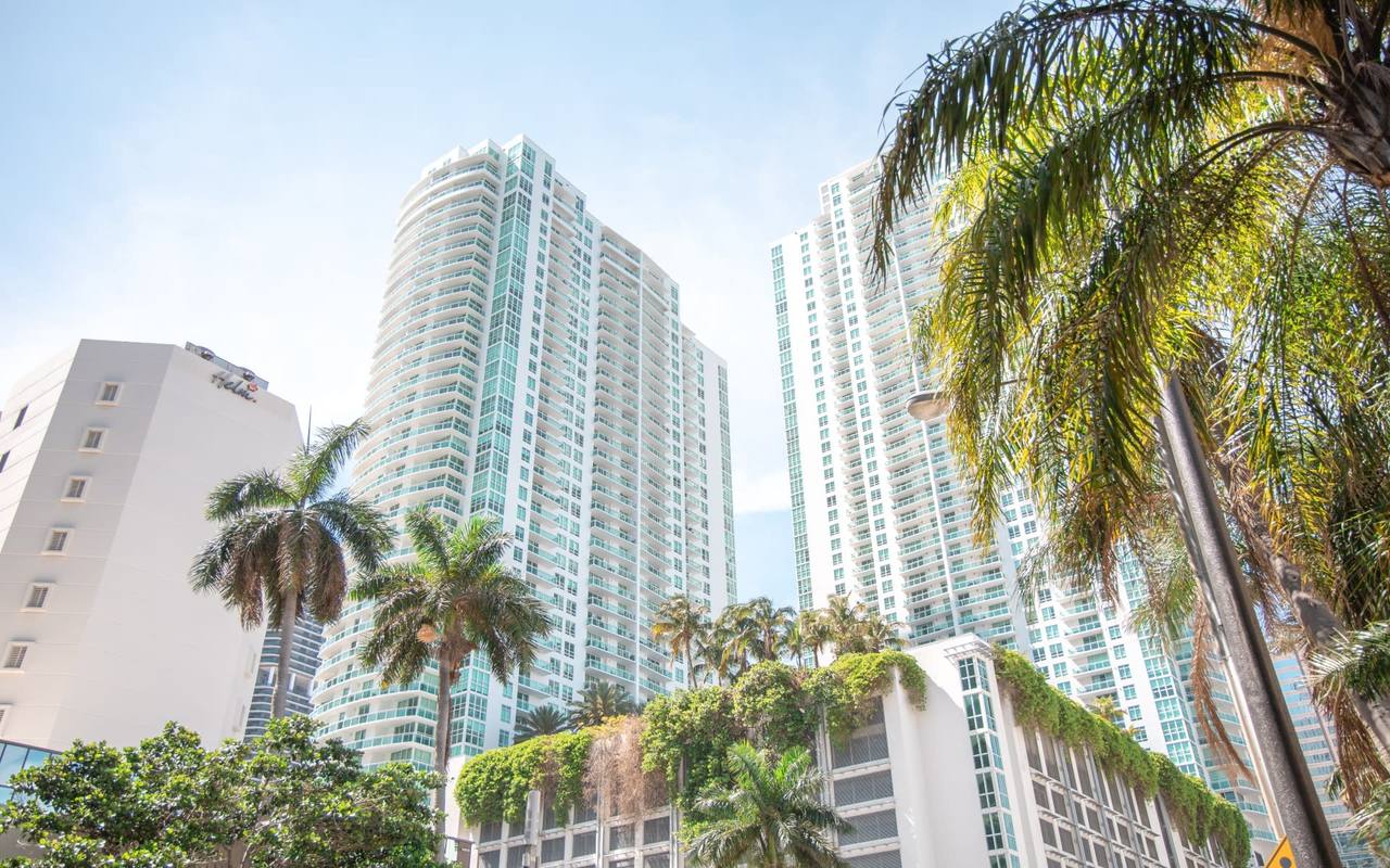 Miami luxury high-rise towers seen from below through palm fronds