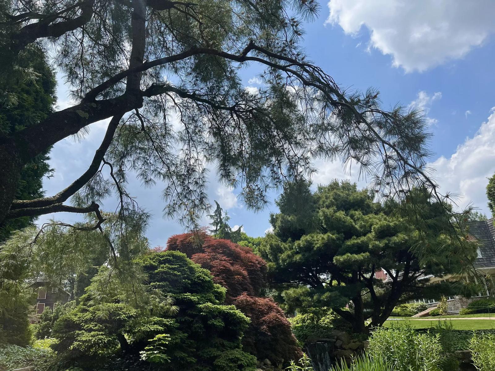 Gardens and trees at Peddler's Village in Bucks County