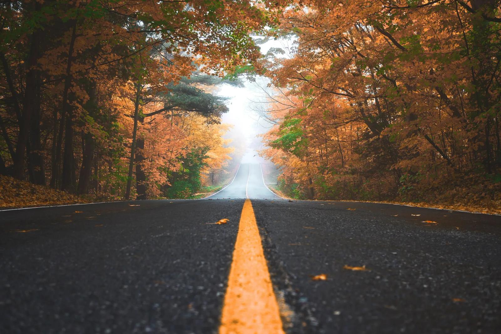 A two-lane road through autumn woods