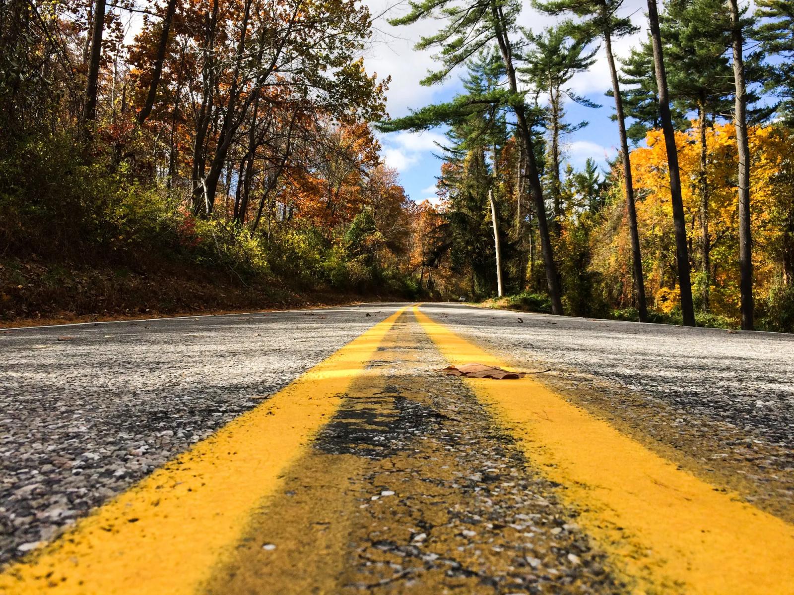 Double yellow lines on an autumn road