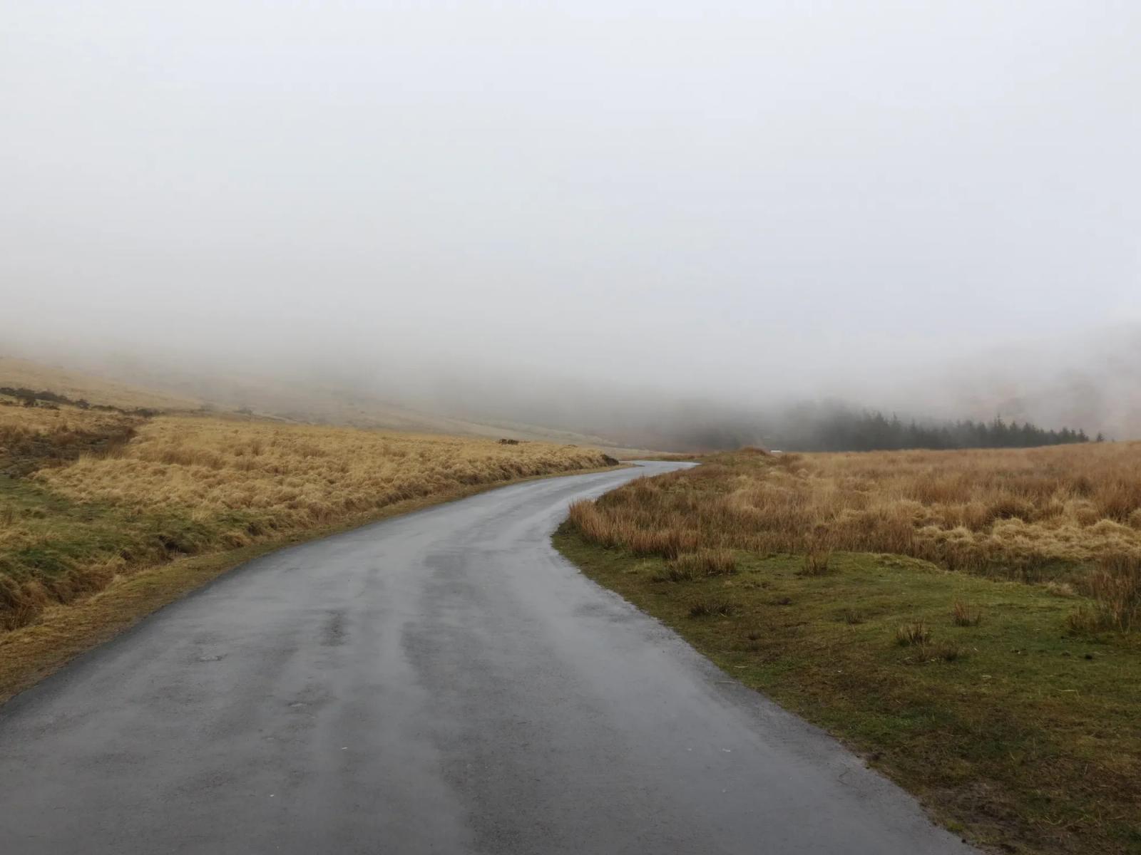 A rural road through fields in the fog