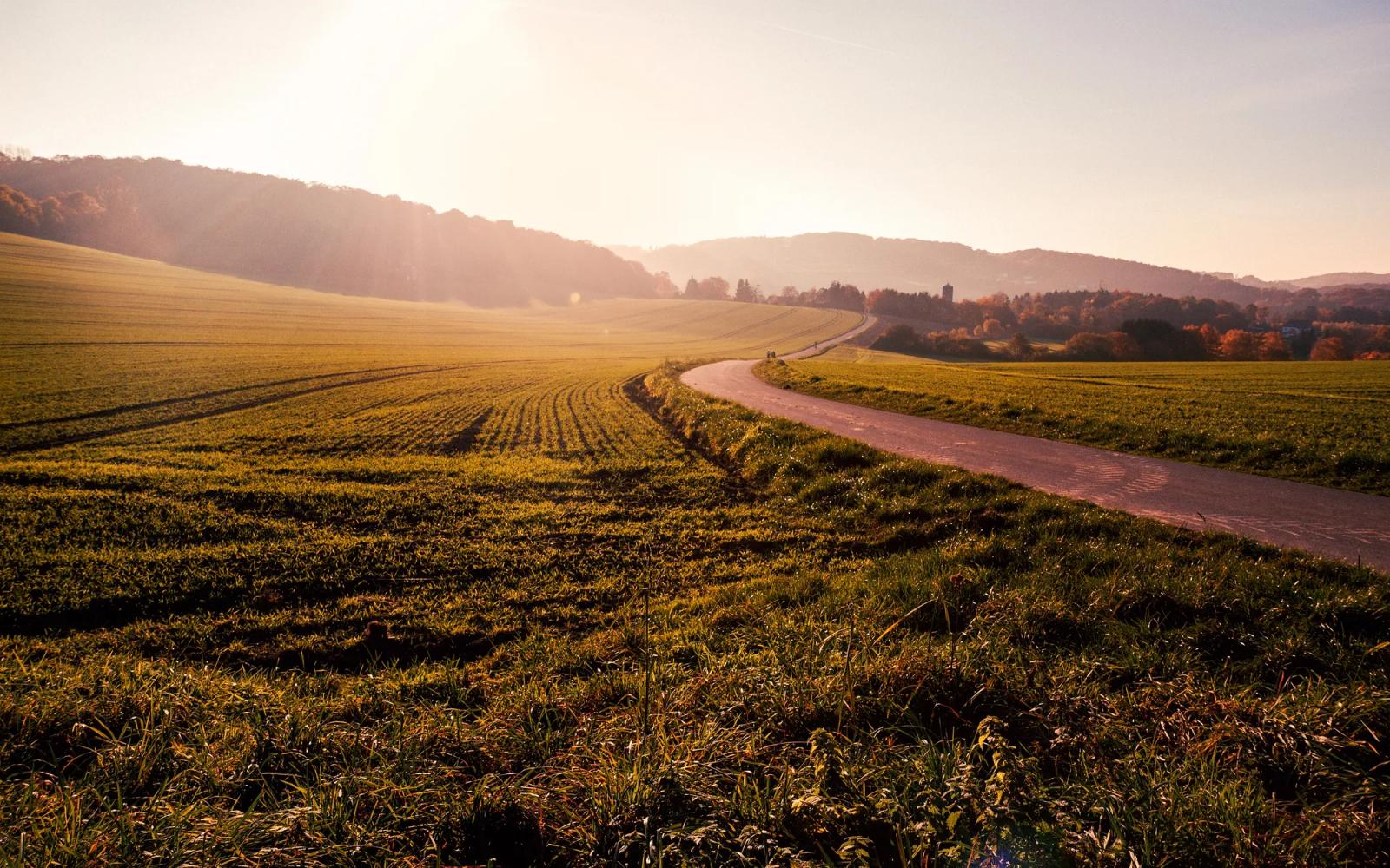 A winding country road through farm fields