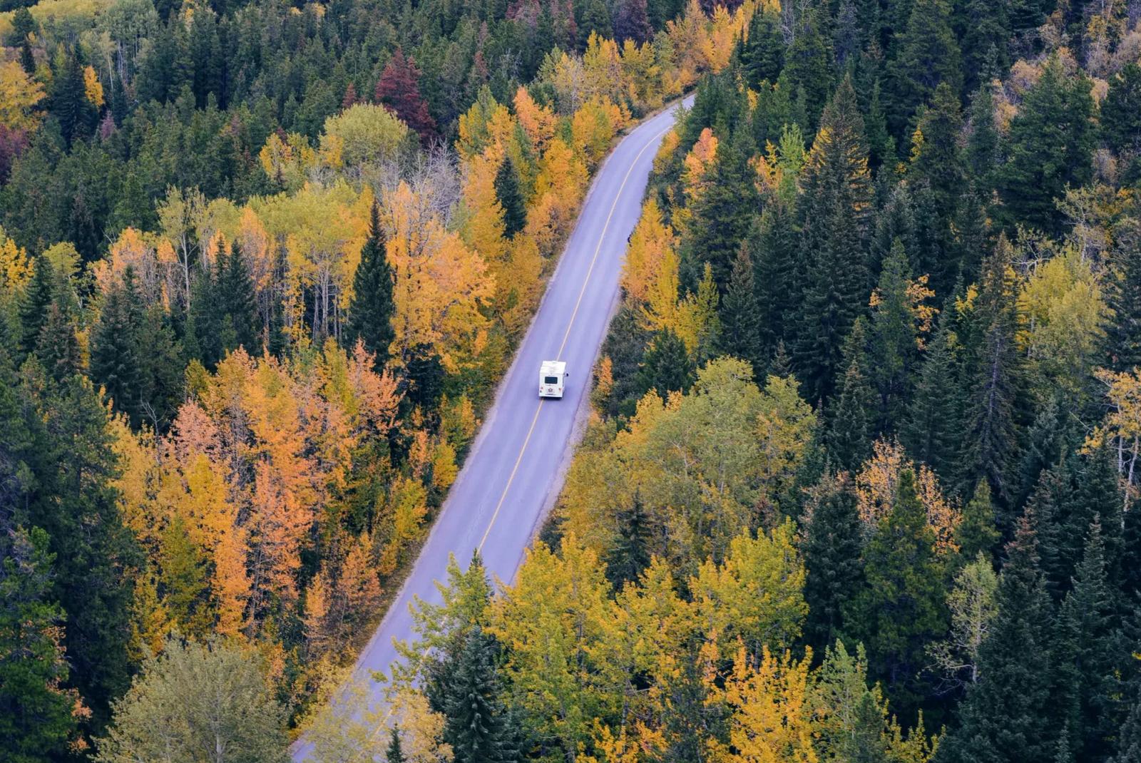 Aerial view of a car on a road through autumn trees