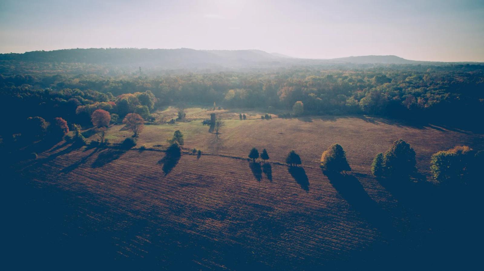 Plowed fields and autumn trees at sunrise
